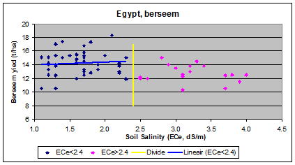 berseem (clover) and salinity in Egypt