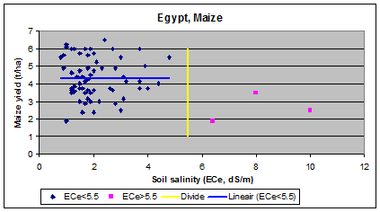 maize (corn) and
     salinity in Egypt