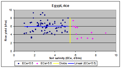 rice (paddy) and
     salinity in Egypt